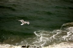 winter beach trip